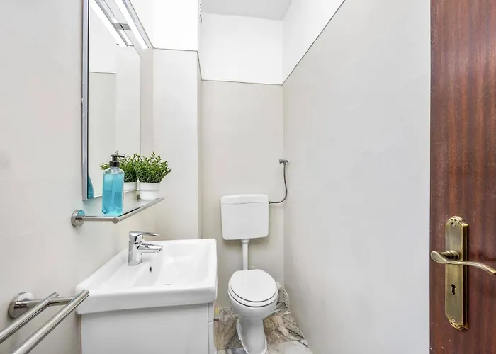 Alegre By البوفيرا