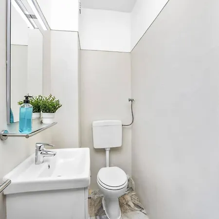 Alegre By 알부페이라